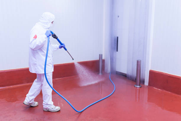 Best House Exterior Washing  in Beavercreek, OH